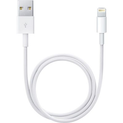 ME291AM/A Lightning to USB Cable (0.5 m) ME291AM/A